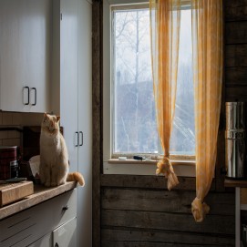 Как правильно выбрать шторы на кухню?